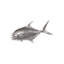 Animals Permit Fish Wall Décor