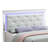 Queen Bed , Silver Champagne(Only Bed)-624491562-624491560