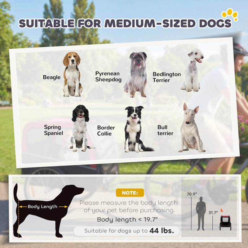Remorque pour chien pour chien de taille moyenne jusqu'à 44 lb, base solide en PEHD amovible, roues remplies d'air de 20 po, tissu Oxford 600D