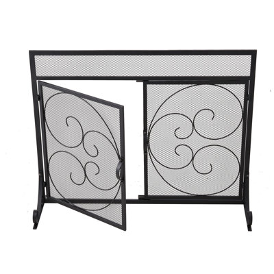 2 Double Door Iron Fireplace Door