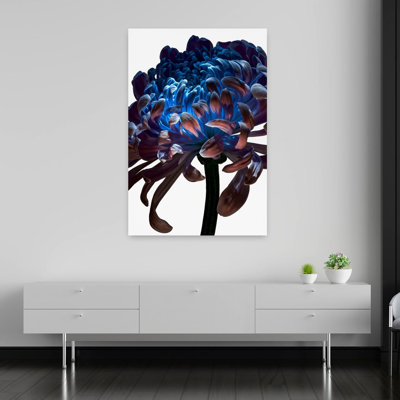 Blue Chrysanthemum Dramatic Elegant Ethereal Chrysanthemum Flower Nature Wall Art Print 1 Piece Wrapped Canvas Wall Art