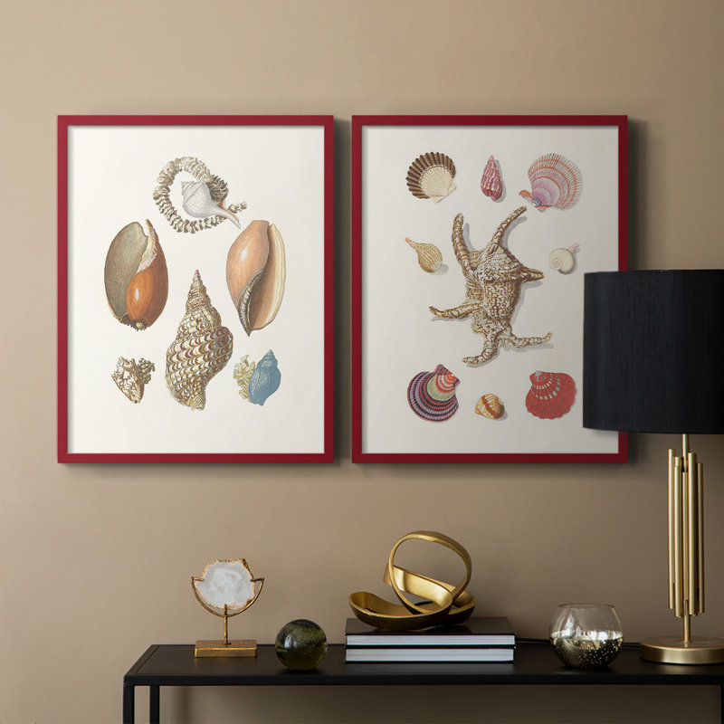 Knorr Shells & Coral I-Premium, reproduction encadrée prête à accrocher - aucun clou requis - aucun clou requis, Rouge