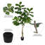 Faux Tree in Pot-27787967