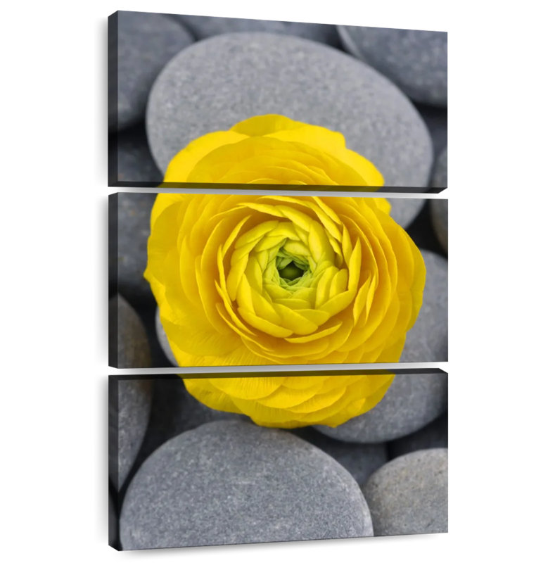 Harnek Bright Yellow Ranunculus, 38" H x 24" W