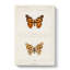 Painted Lady Butterfly by S.F. Denton - Wrapped Canvas-55366761