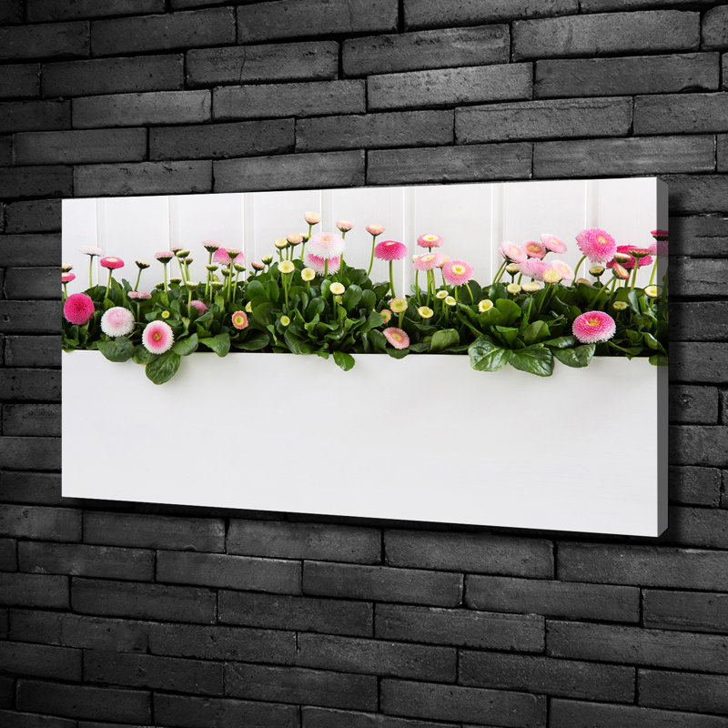 Pink Daisies - No Frame Print on Glass, 50cm H x 100cm W x 2cm D, Canvas