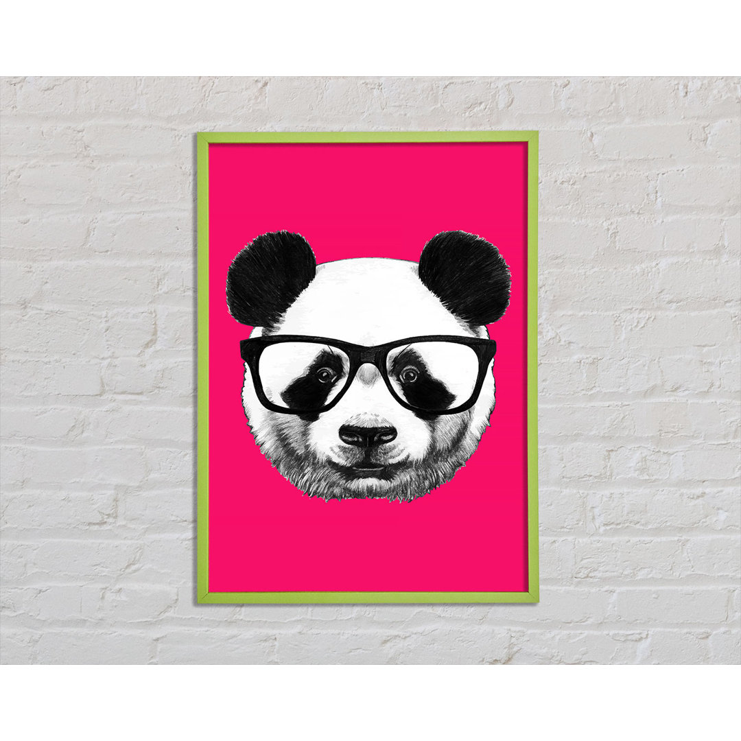 Algarve Funky Panda - Einzelner Bilderrahmen Kunstdrucke