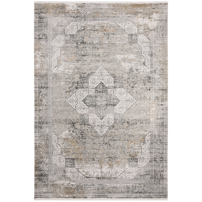 Cuccia 700 Viscose/Acyrlic Oriental Rug in Light Grey, Rectangle 8' x 10'