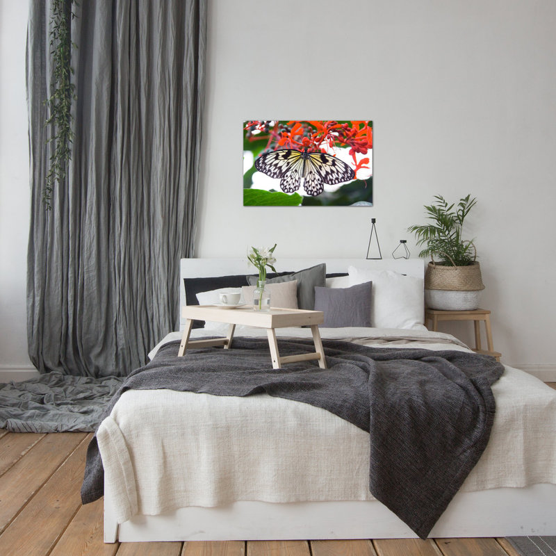 «White Butterfly», photographie sur toile tendue, H 8 po x l 12 po x P 0,75 po, Toile tendue, Pas de tapis
