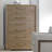 Shadow Play Foster Chest