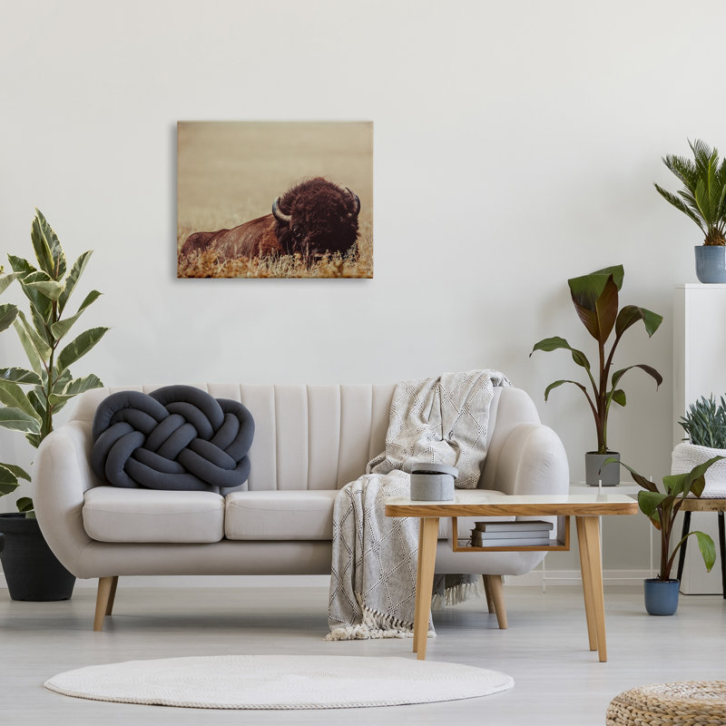 «Resting Bison On Canvas» par Nathan Larson, reproduction, H 24 po x l 30 po x P 1,5 po