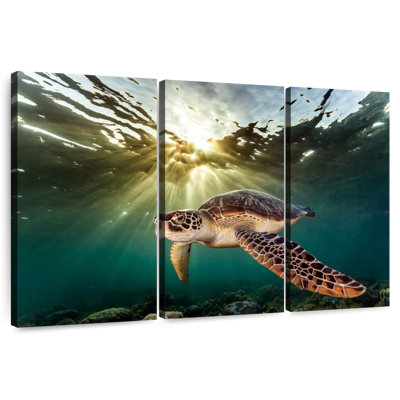 Rare Green Sea Turtle