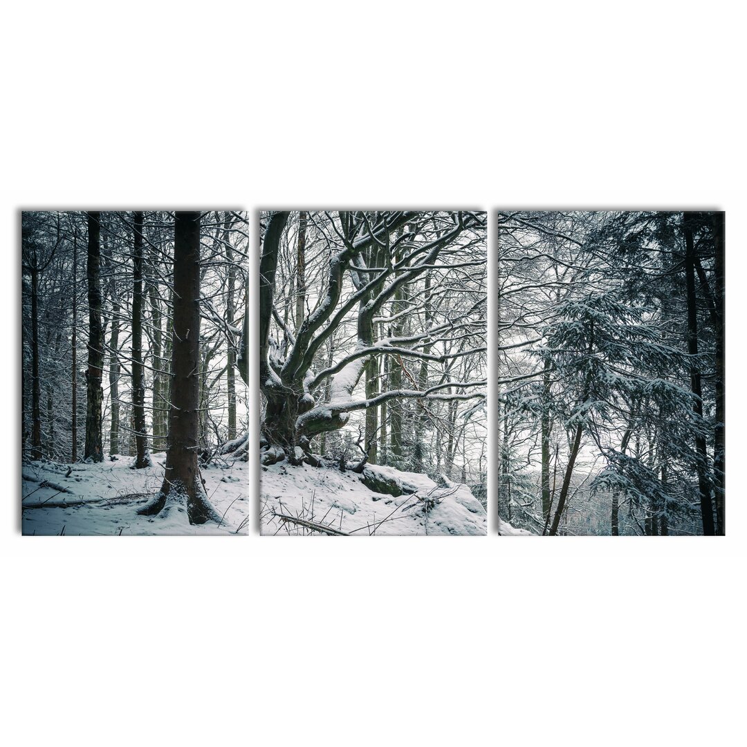 3-tlg. Leinwandbilder-Set Wald mit Schnee bedeckt