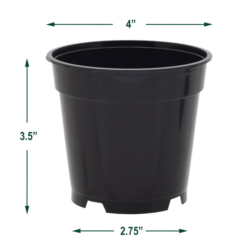Kounain Nursery Pot, 250, 3.5" H x 4" W x 4" D