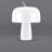 The Boleti Lamp