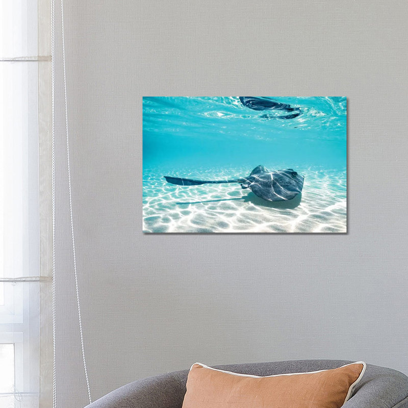 Underwater Ray Reef Snorkelling by James Vodicka - Wrapped Canvas Gallery-Wrapped Canvas Giclée