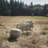 Windy Upholstered Armchair-1033464510-1033464496