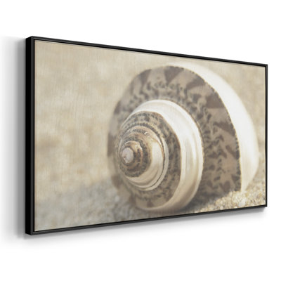 Calming Shell II- Framed Gallery Wrapped Canvas -Ready to Hang