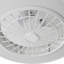 Bujor Ceiling Fan with LED Lights
