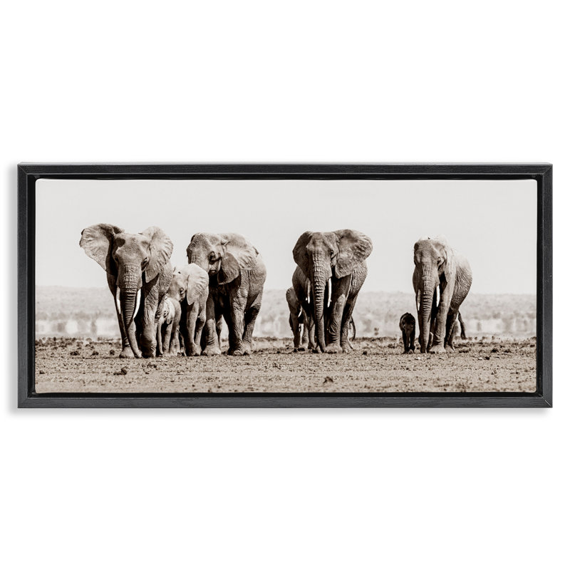 Famille d'éléphants dans la savane, Cadre flottant noir de jais, H 11 po x l 25 po