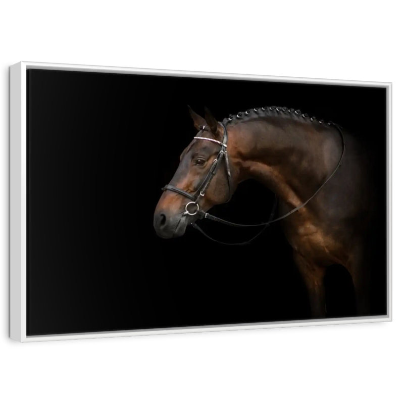 Bridled Dark Brown Horse, Floating Frame White, 31" X 21"