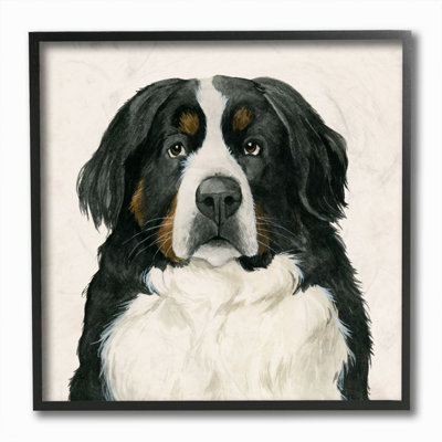 Portrait d’un chien bernois par Grace Popp-impression d’art graphique