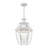 Alexavier 3 -Bulb 19" H Outdoor Hanging Lantern-2122974145