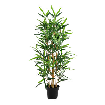 95cm Plant