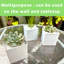 Ensemble de 6 pots de fleurs muraux carrés en métal de 4 pouces pour plantes d'intérieur, petits pots de fleurs muraux blancs décoratifs de jardin