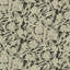 Wandervine - Ebony Taupe Botanical Wallpaper