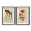 Cadre Mushroom Variétés III mat de qualité supérieure - prêt à être suspendu-247625085-247625087
