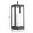 Saida Outdoor Hanging Lantern-2044107606