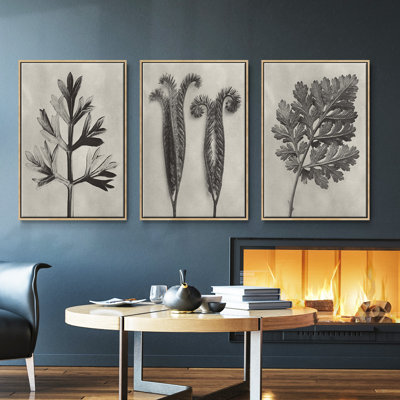 Blossfeldt Botanical I 3 pièces