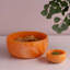 Resin Rice Bowl-1385782815