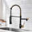 Fapully Pull Down Kitchen Faucet-73243238