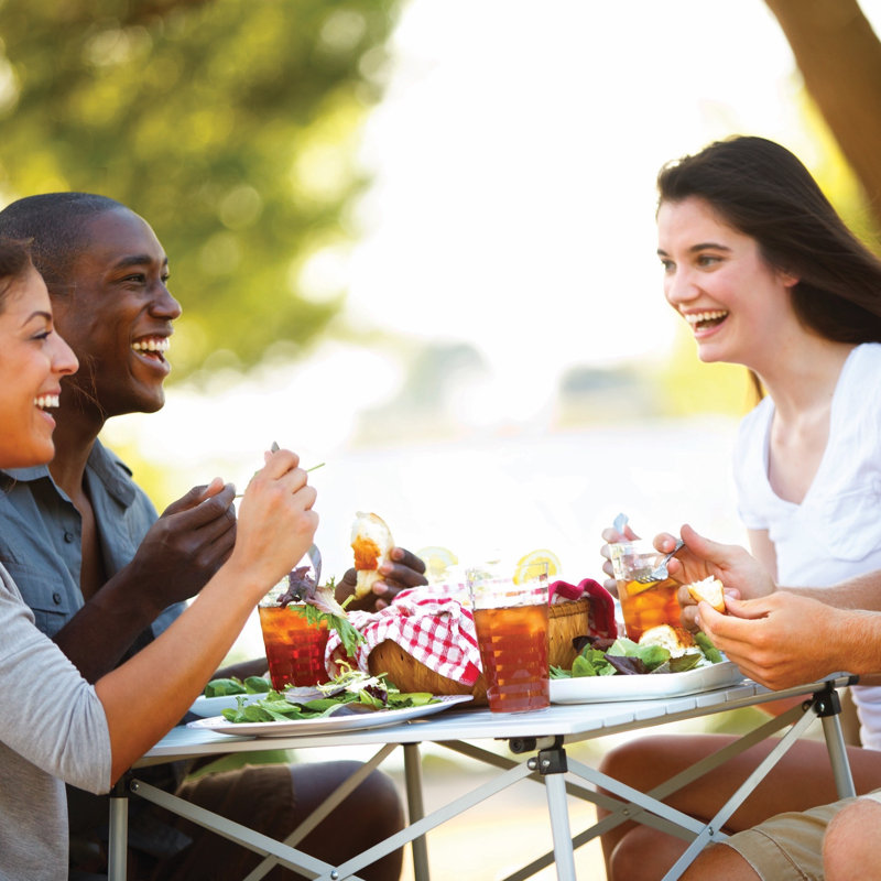 Table de camping pliante