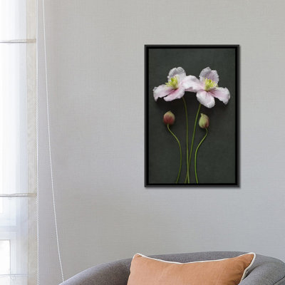 Les fleurs et les greffons clematiss sont imprimés sur toile