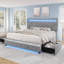 LED Bed Frame with 2 Storage Drawers and Adjustable Headboard, Diamond Button Tufted Bedframe-993219745-993219774
