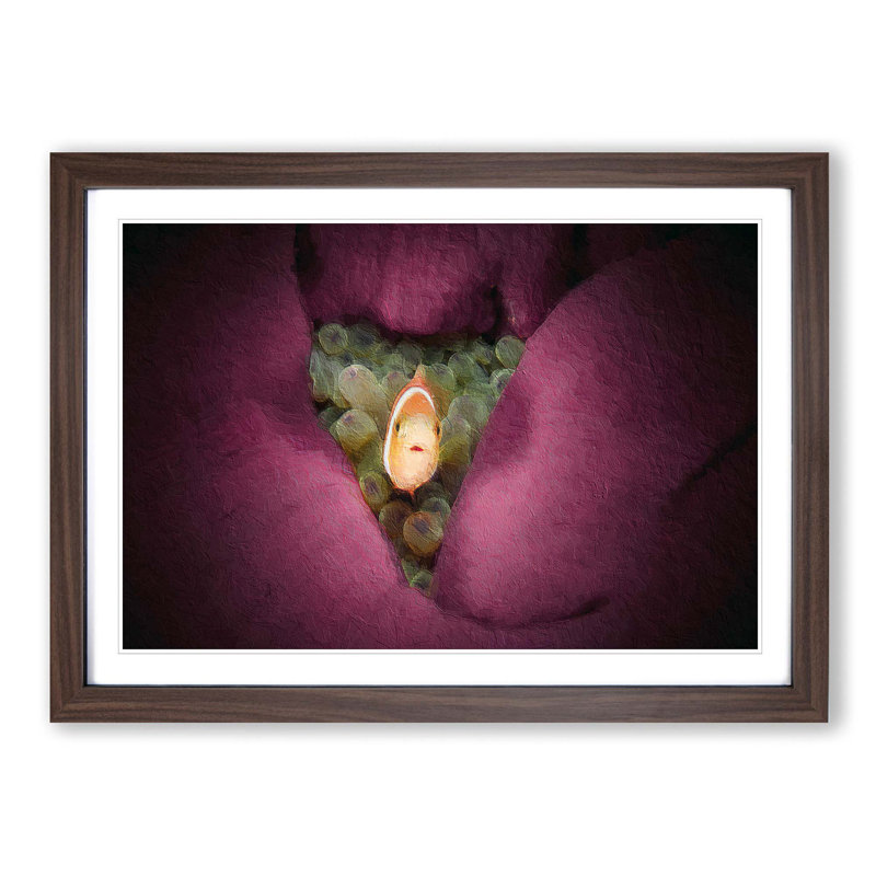 Clownfish & Sea Anemone - Picture Frame Painting, Walnut Framed, 48cm H x 65cm W x 2cm D