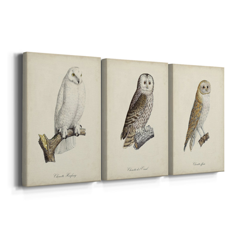 French Owls IV - Toile tendue avec châssis sur mesure - 3 pièces, H 60 po x l 120 po
