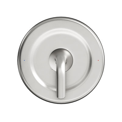 Moen-Compatible Replacement Shower Trim Kit Stainless Steel Shower Panel & Alloy Lever