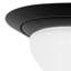 Anamarie LED Flush Ceiling Lights