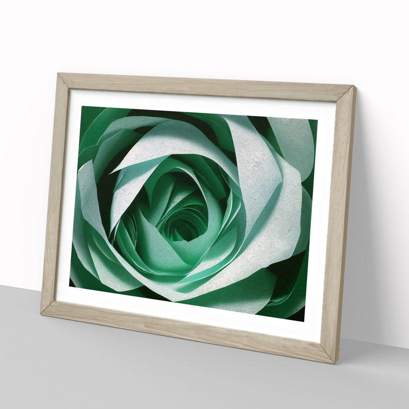 Glorious Rose Flower - Framed Print, 46cm H x 64cm W x 2cm D, Oak