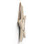 Protected by Witchcraft Wooden Star Plaque-1030260000