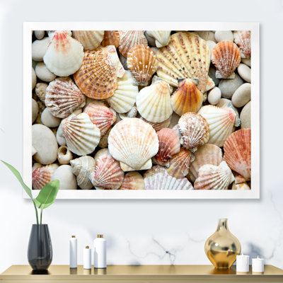 Red Orange And White Shells And Stones " Red Orange And White Shells And Stones "