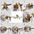 Glass Semi Flush Mount