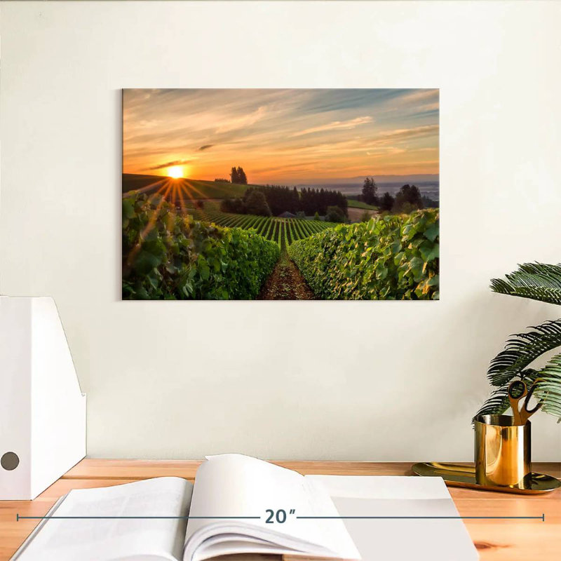 Alvord Willamette Vineyard, H 8 po x l 12 po