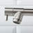 FLG Pull Down Kitchen Faucet