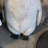 Baby Penguin Statue