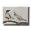  'Quail Pair' by Cat Thurman Designs Canvas Wall Art, 26" x 18"